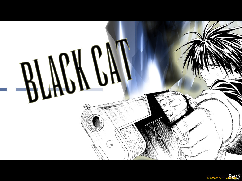 black, cat, 